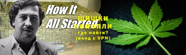 крисы Вязьма