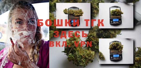 СК Волосово